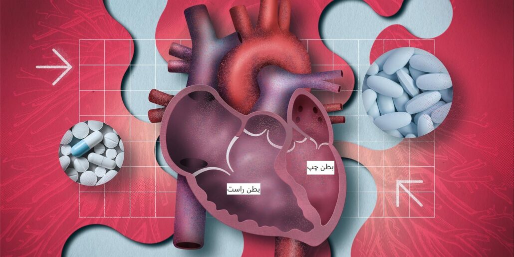 عملکرد بطن راست و بطن چپ